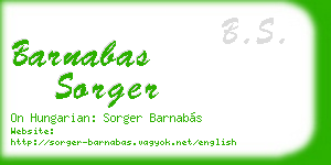 barnabas sorger business card